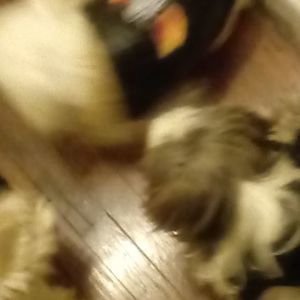 Meet your Posher, Nichole